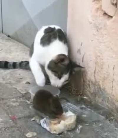 So cute...
