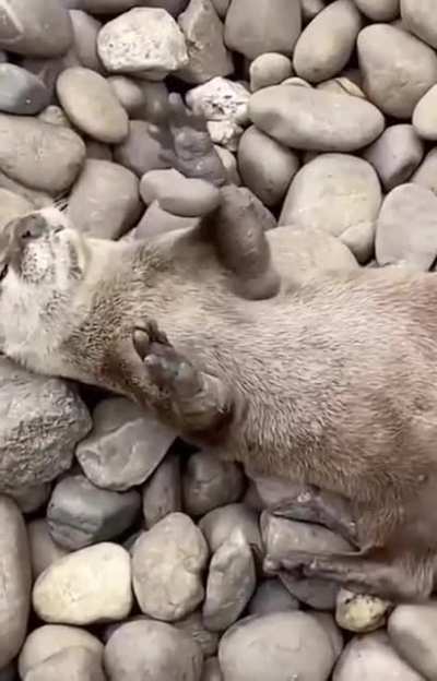 Fun with stone
