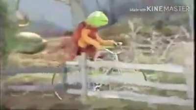 Kermit the frog