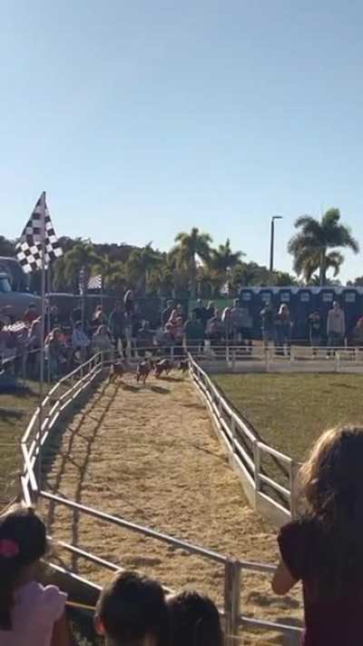 What do you enjoy the most about the Fair? I thoroughly enjoyed 