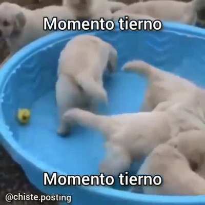 Momento tierno