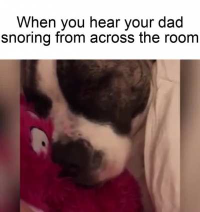 What is he dreaming about?