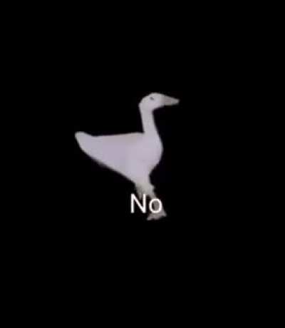 Opposite of yes