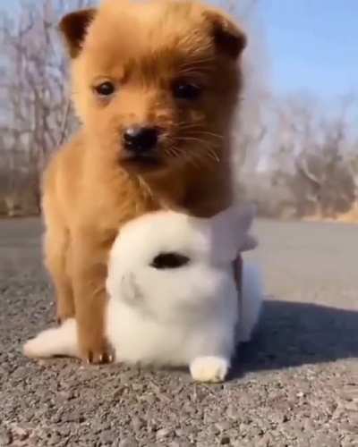 Cute friends