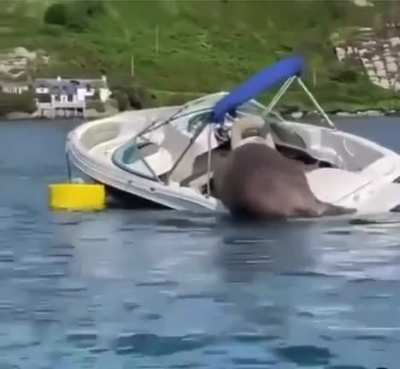 want to take a ride