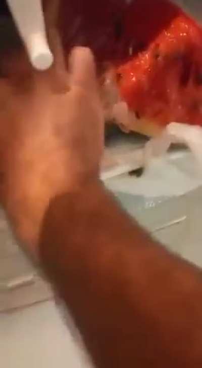 Watermelon?