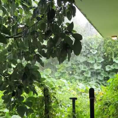 Rain curtain