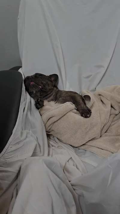 sueño 😴😴🤣