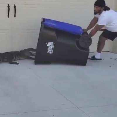 Man Channels His Inner Steve Irwin to Catch a Gator