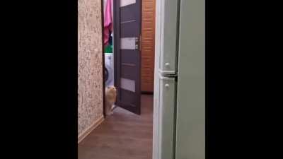 Мой тыгыдык сильнее твоего!