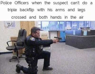 Merican police
