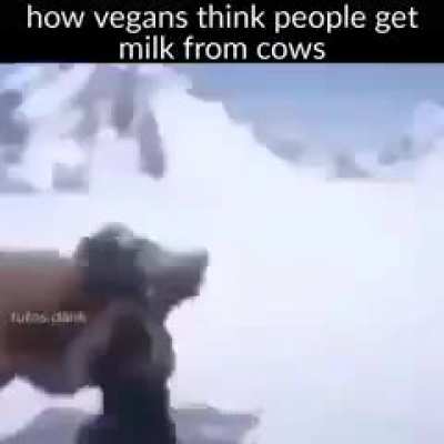 almod milk