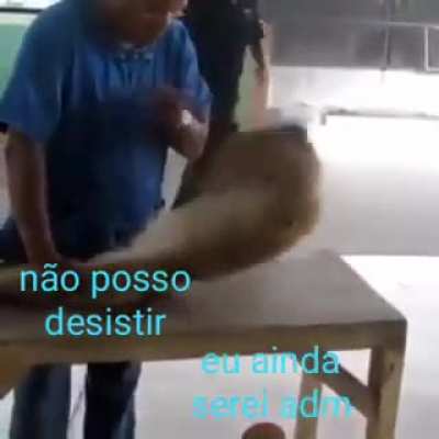 Não vou desistir!!!
