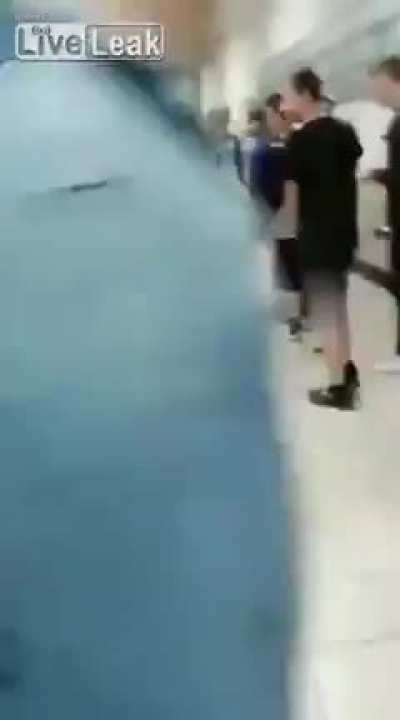 Guess what they broke