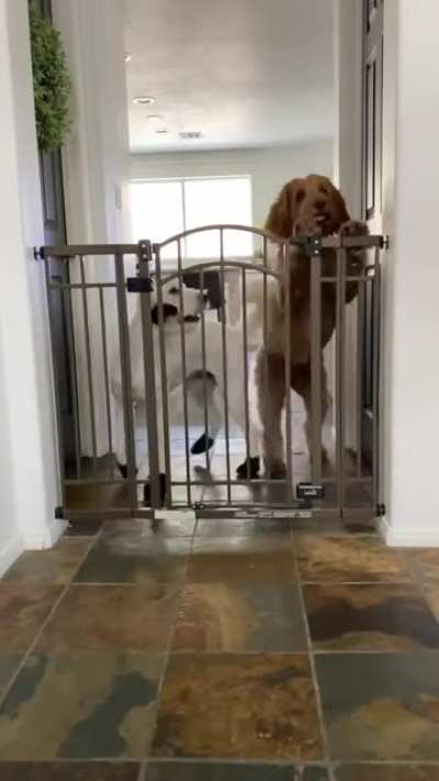 That's one way to use the gate