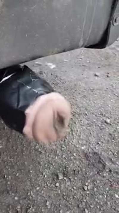 Trashy muffler mod
