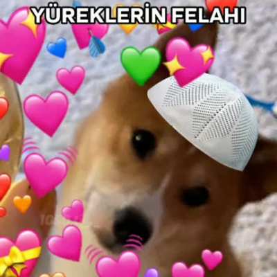 🐶🤲🏻
