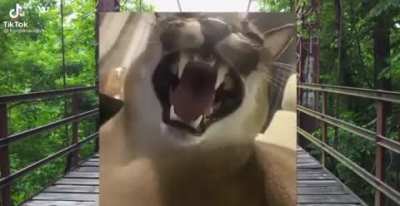 roast<wbr>ed!!!<wbr>1!!!!<wbr>1!!!!<wbr>1!1!1<wbr>!