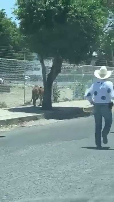 Vida Salvaje: México Mágico