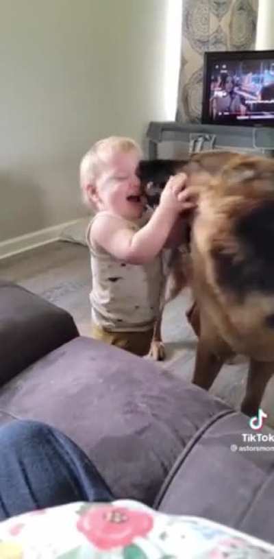 Baby vs dog