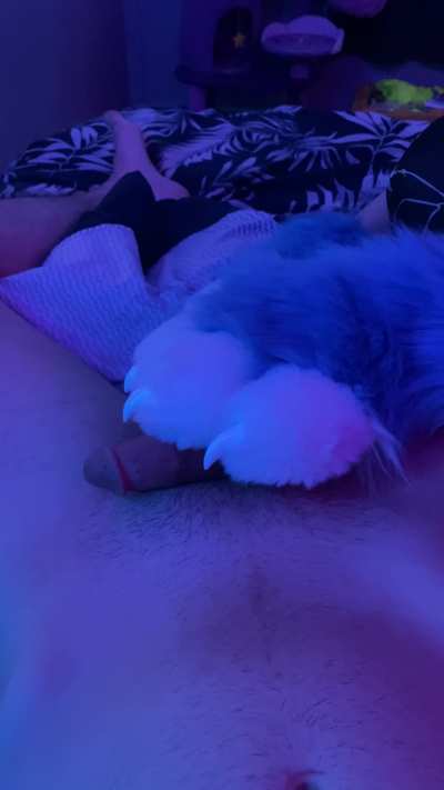 Pawbs -w- (X/BS: NoxKnots)