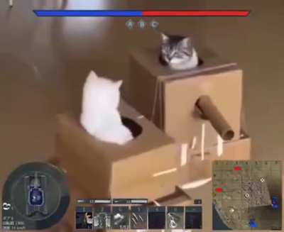 Cats are based 