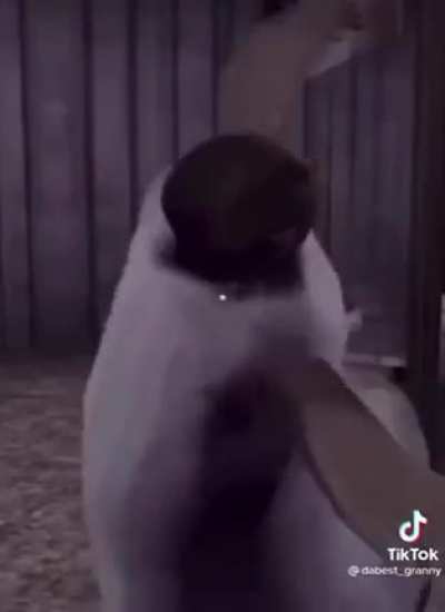 cursed granny