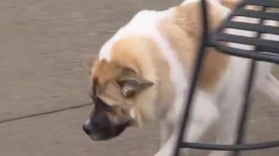 hmmm