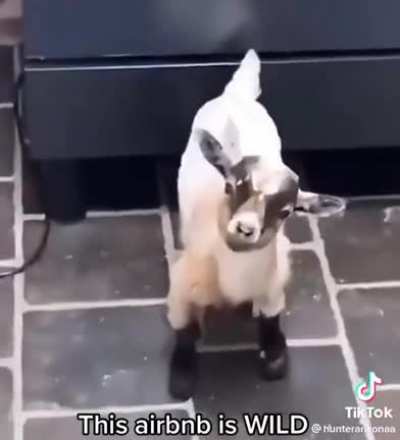 He's just checking on the guests