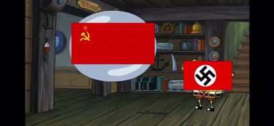 ¡Pat No!