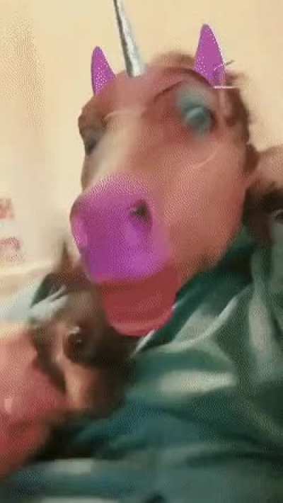 Almost got a heart attack