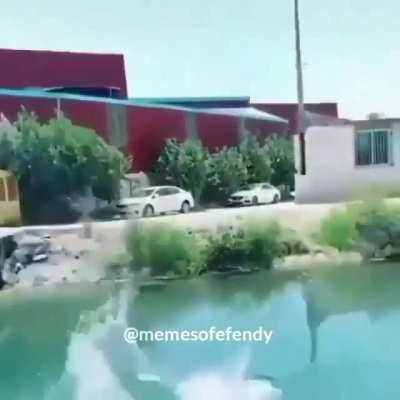 (alıntıdır)