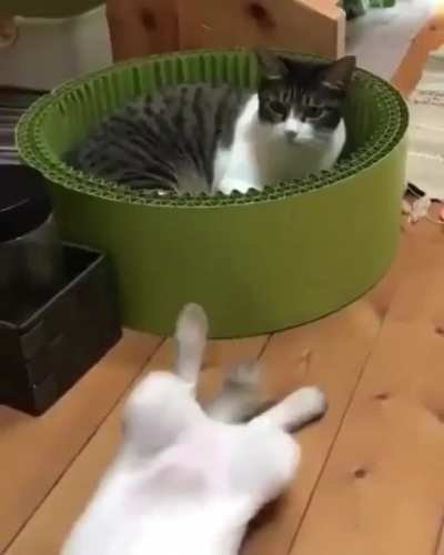 Dramatic fall