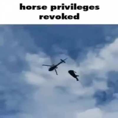Alternative title: How the Horsey moves