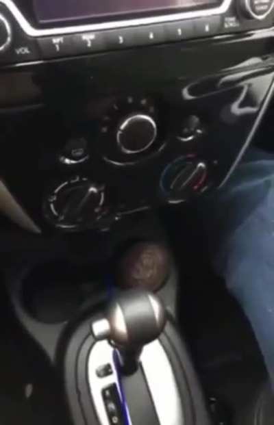 Avacado