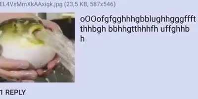 Fsh