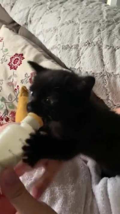 Convict gets aggressive during meal time
