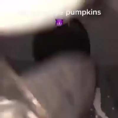jim