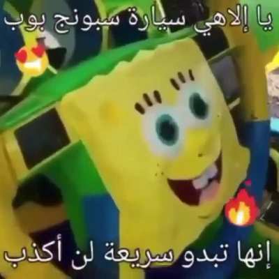 spongibob