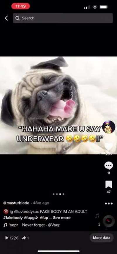 This is hilarious and definitely belongs here 👍👍👍👍👍😇 ha ha