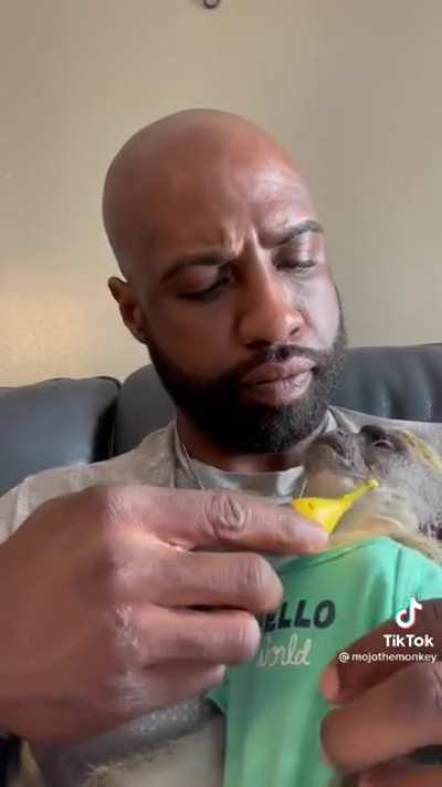 Mojo with the fade