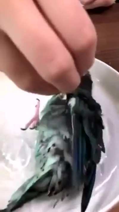 Время купания