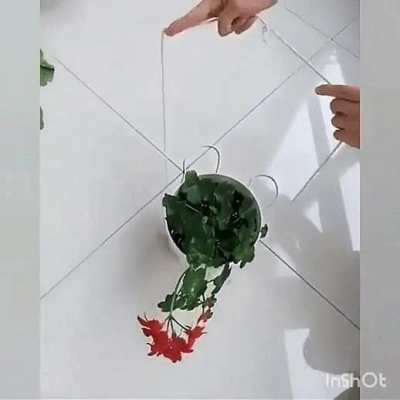 How to use string to life a potted plant
