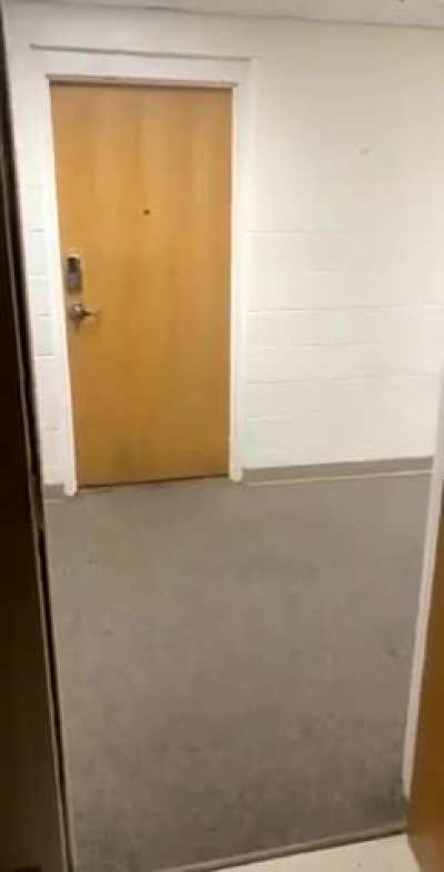 When duckings party with a college dorm.