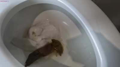 CnG clog the toilet together. [f] OC