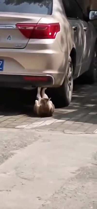 CBA