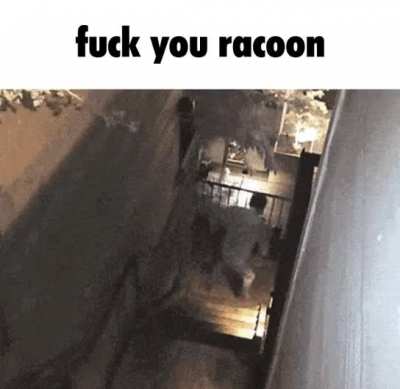 Rodent Rule