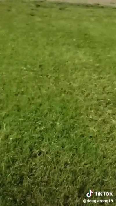 MaN iS hUnTeD bY pAcK oF hUnGrY LIoNs