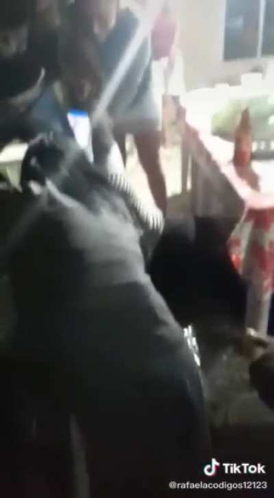 A festa tava rolando legal.. Até a Divanir pegar a última cerveja do barril