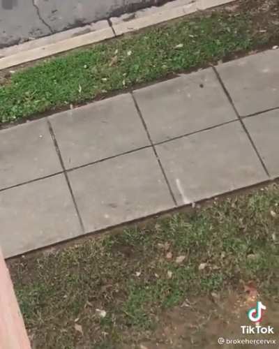 “Taking a deep deew on the side of my building”😭😭